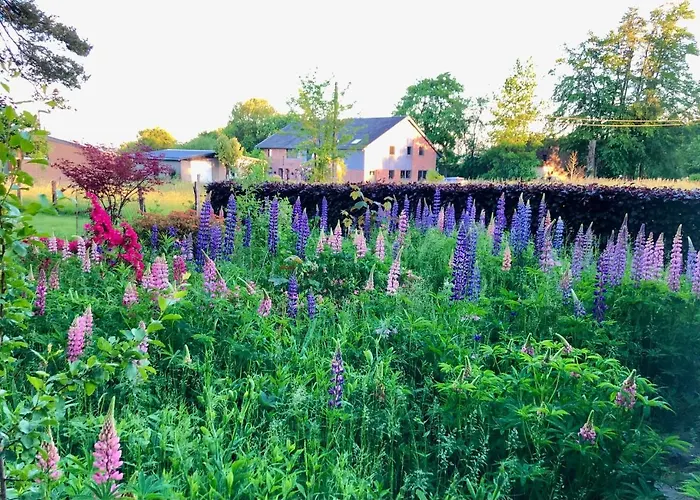 Les Randonneurs - Maison Spacieuse Avec Jardin