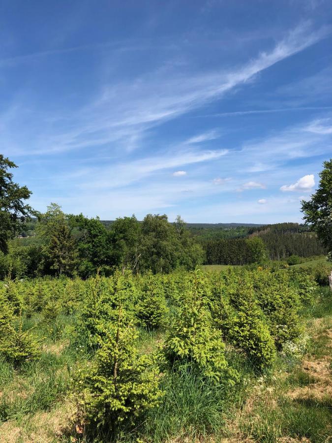 Les Randonneurs - Maison Spacieuse Avec Jardin Casa vacanze Malmedy